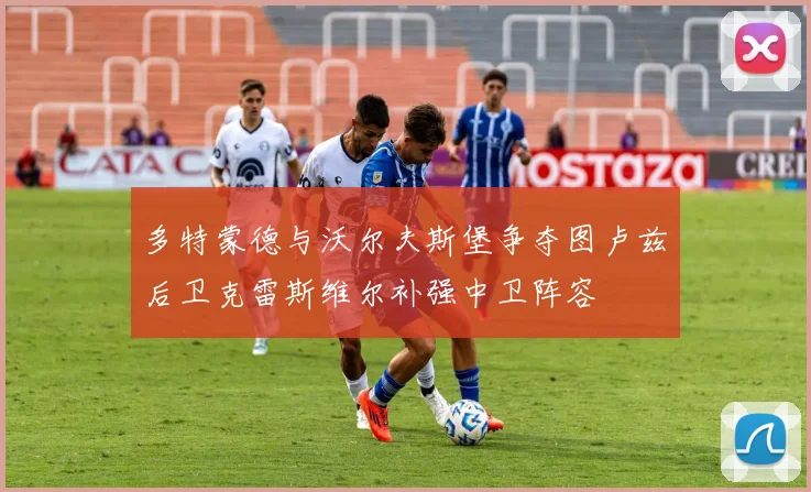 多特蒙德与沃尔夫斯堡争夺图卢兹后卫克雷斯维尔补强中卫阵容