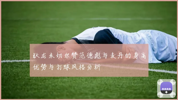 狄龙米切尔赞范德彪与麦丹的身高优势与打球风格分析