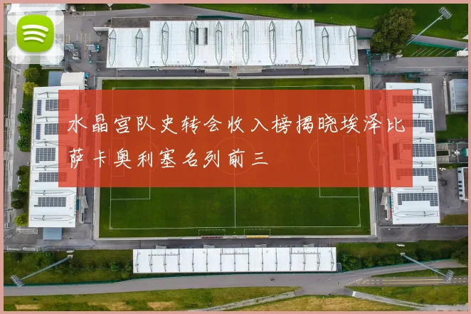 水晶宫队史转会收入榜揭晓埃泽比萨卡奥利塞名列前三